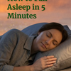 Ebook 